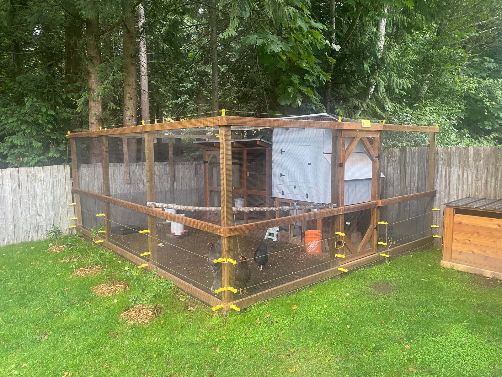 A custom chicken coop and run in Squamish, BC with predator-proof electric fencing