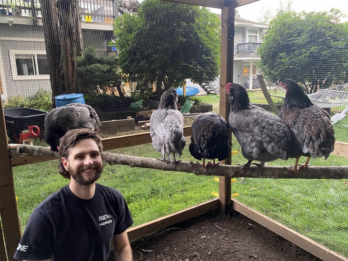 Jeremy with the flock perched beside him in the coop run