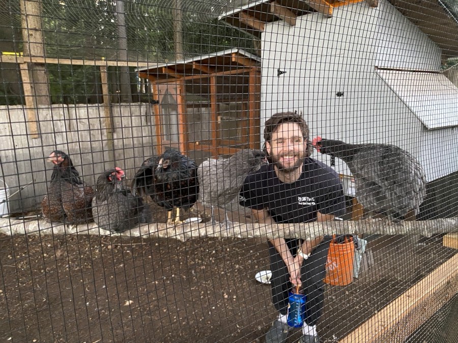 Jeremy with the flock in the coop run